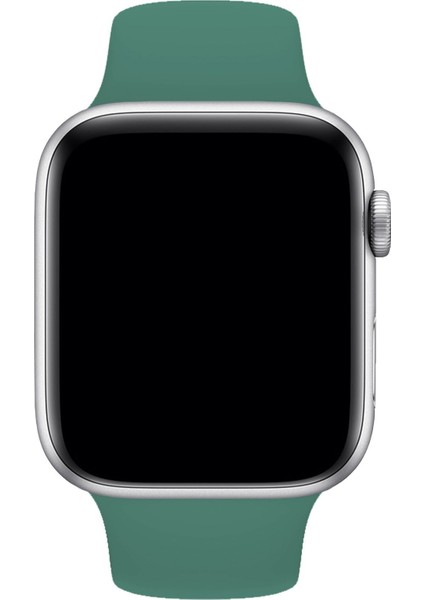 Apple Watch 1 2 3 4 5 6 7 Se 40MM Klasik Silikon Kordon Kayış Kayalık Pine Green
