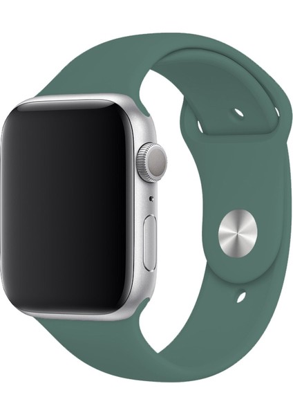 Apple Watch 1 2 3 4 5 6 7 Se 40MM Klasik Silikon Kordon Kayış Kayalık Pine Green