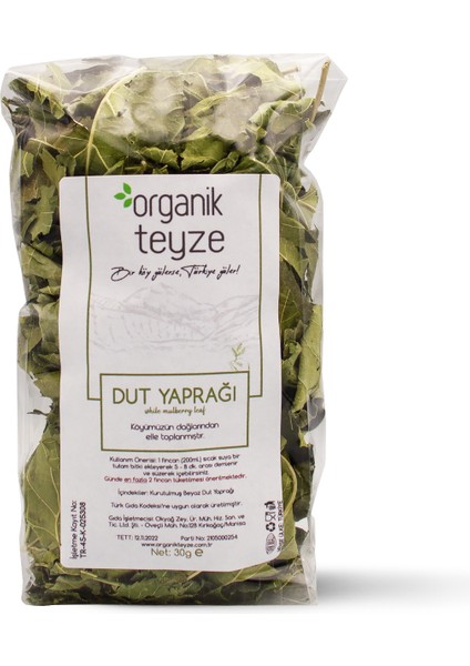 Dut Yaprağı / While Mulberry Leaf / Morus Alba 30 G.
