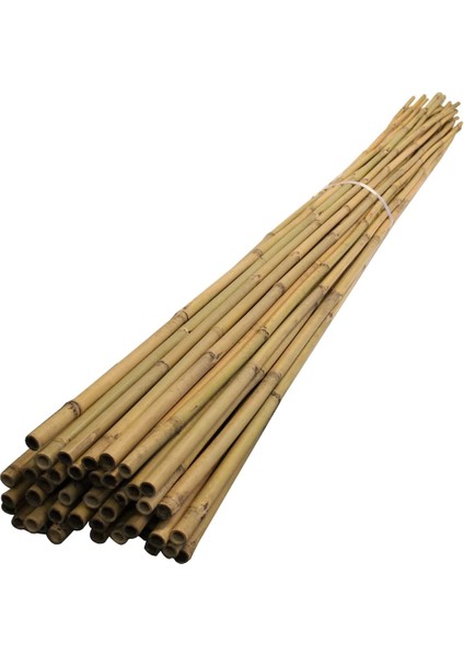 200 cm 25 -35 mm Seperetör Bambu Çubuk 10 Ad.
