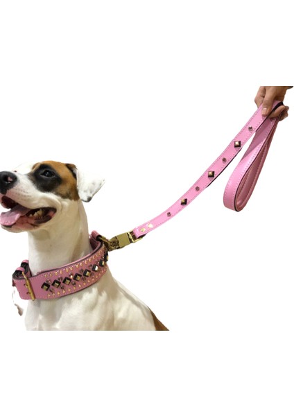 Taşlı Köpek Boyun Tasması