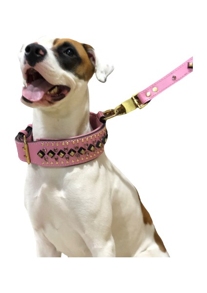 Taşlı Köpek Boyun Tasması