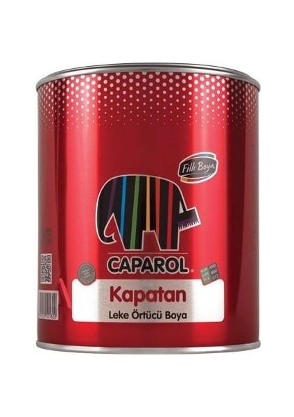 Filli Kapatan Boya 2,5