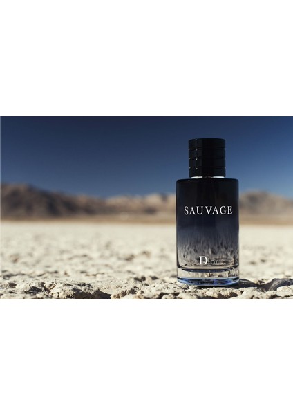 Sauvage Edt 100 ml Erkek Parfüm