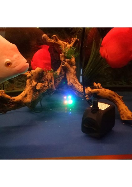 Ab Plug Ultra Sessiz Akvaryum Havuzu Dalgıç Pompa Powerhead Çeşmesi 2.5W (Yurt Dışından) fiyatları