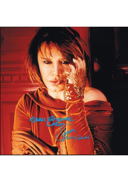 Sezen Aksu - Şarkı Söylemek Lazım - Plak