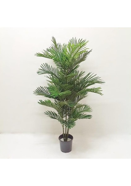 Creart Home 45-0043 Yapay Ağaç Kentia Palm 150 cm