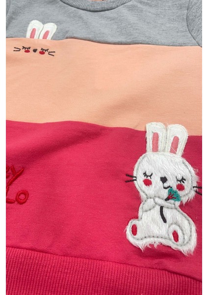 Erkek Bebek Gri Tavşancık Detaylı Pamuklu Uzun Kollu Ikili Takım fiyatları