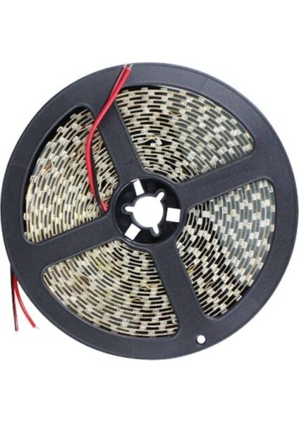 Şerit LED 10 Çipli Gün Işığı 5mt CT-4481