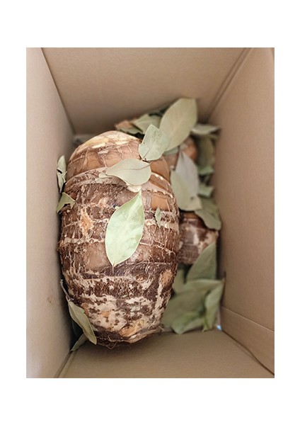 Celenderis Gölevez (Taro Root- Cocayam fırsatları