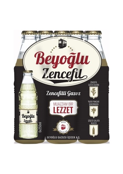 Zencefilli Gazoz 6'lı