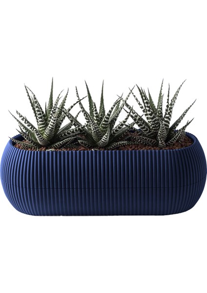 1,3 Litre Gece Mavisi Uzun Mercan Saksı Plastik Kaktüs Sukulent Saksısı No2