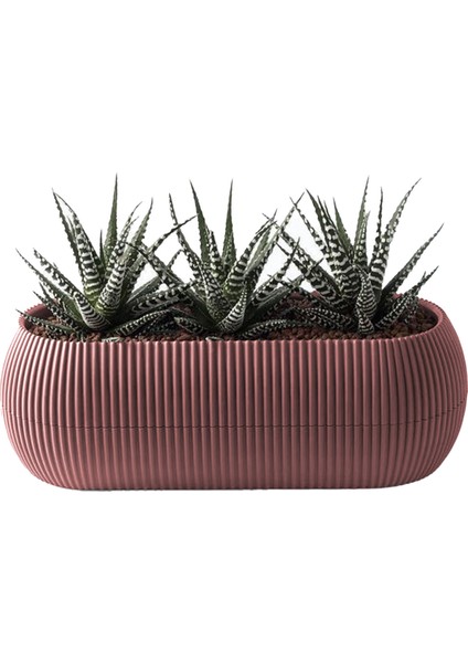 1,3 Litre Soft Pembe Uzun Mercan Saksı Plastik Kaktüs Sukulent Saksısı No2