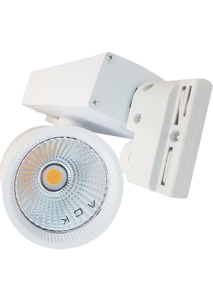 AD30-04030 30W Beyaz Kasa Cob LED Ray Spot Armatür 6500K Beyaz