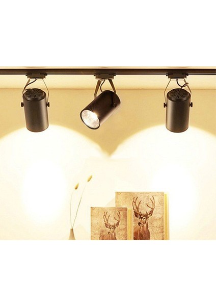 1 Metre Beyaz Monofaze Ray CT-9710 fiyatları