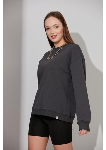 Alexandergardı Basic Sweatshirt (B22-37400)