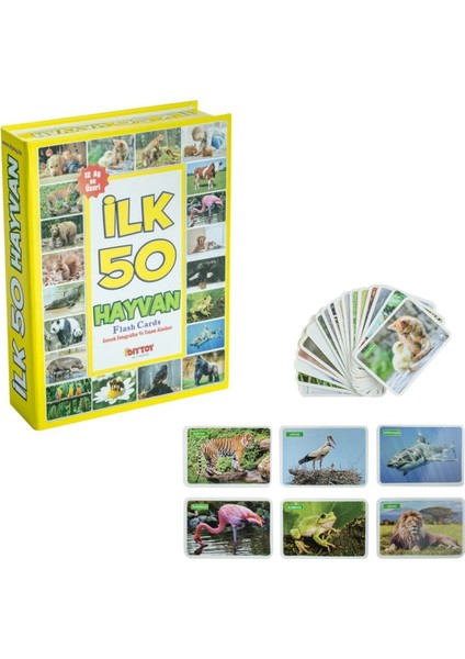 Dıytoy 1352 F.cards Ilk 50 Hayvan modelleri