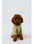 Çıtçıtlı Köpek Yağmurluk Yeşil 6 1