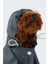 Çıtçıtlı Köpek Yağmurluk Mavi 5 2