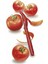 Rende-Yan SOYACAK-11CM Bıçak 3 Lü Set Kırmızı 5