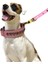 Taşlı Köpek Boyun Tasması 4