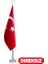 Direksiz Türk Makam Bayrağı Telalı 1