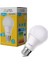 Powermaster PMLED-12G 12 Watt 220 Volt 3200K Gün Işığı LED Ampul 2