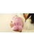 Rose Teddy Bear Açık Pembe Güllü Ayıcık (23 x 18 Cm) 3