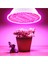 E27 - 48 Leds Iç Mekan Bitkileri Için LED Grow Ampul Kırmızı ve Mavi (Yurt Dışından) 2