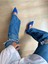 Gerçek Deri Mavi Swanky Blue 4