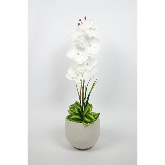 Mini Hediye Yapay Orkide Çiçeği Beton Saksıda Kadife Orkide Vazoda Çiçek