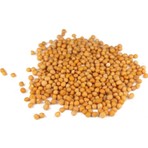 Ayvalık Baharat Sarı Hardal Tohumu 100 gr