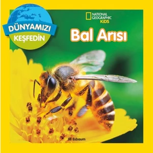 National Geographic Kids - Bal Arısı