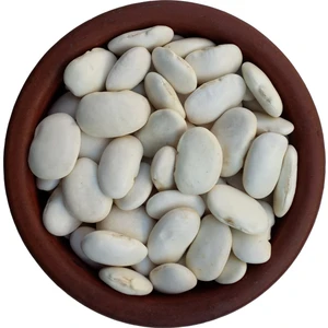 Gönlügür Piyazlık Bombay Fasülye - 1 kg