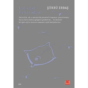 Kuş Uçar Kanat Ağlar - Şükrü Erbaş