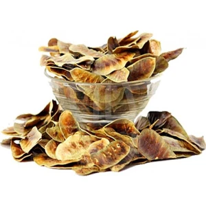 Ayvalık Baharat Açlık Otu 100 gr