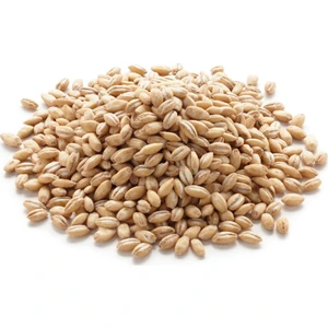 Ayvalık Baharat Arpa Soyulmuş 1 kg