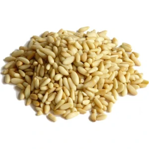 Ayvalık Baharat Çam Fıstığı 50 gr