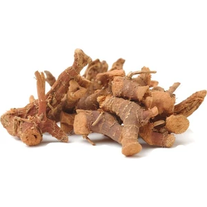 Ayvalık Baharat Kök Havlıcan 100 gr