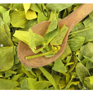 Ayvalık Baharat Ökse Otu 250 gr