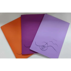 Color A4 100 Yaprak Kareli Plastik Kapak Defter Basic