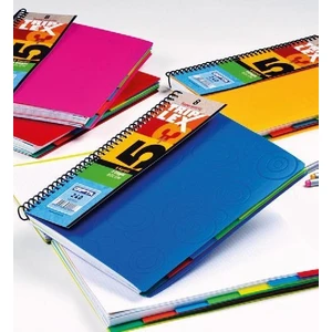 Trıplex 5+3  - 240 Yaprak Bölmeli Defter A4 Sp Plastik Kapak