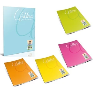 Mica A4 - 80 Yaprak Çizgisiz Plastik Kapak Defter