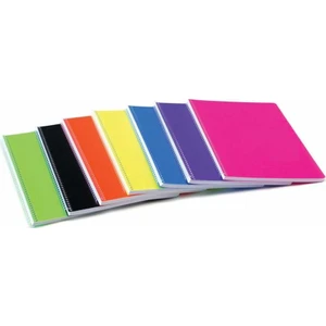 Alex Schoeller 120 Yaprak Çizgili A4 Sp Plastik Kapak Defter