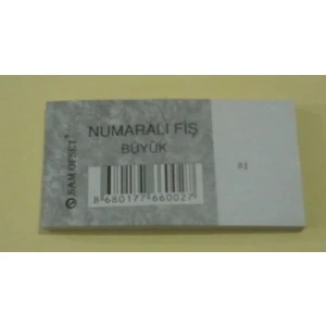 Büyük Numaralı Fiş