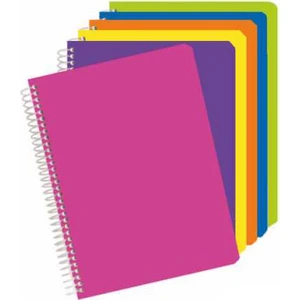 Alex Schoeller 100 Yaprak Çizgili Sp A4 Plastik Kapak Defter