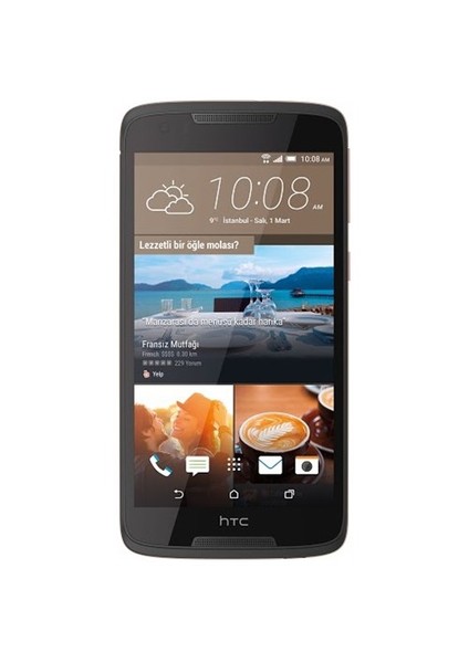 Desire 828 (HTC Türkiye Garantili) Gri