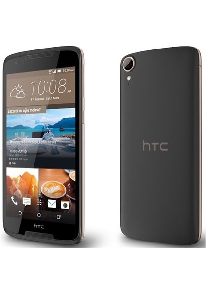 Desire 828 (HTC Türkiye Garantili) Gri