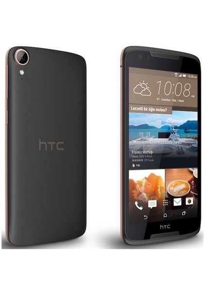 Desire 828 (HTC Türkiye Garantili) Gri