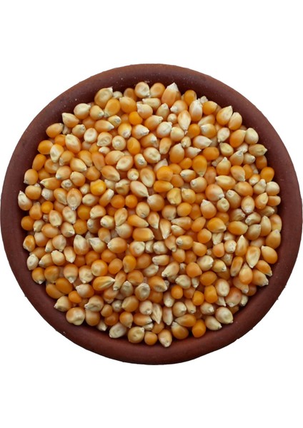 Darı - 1 kg modelleri